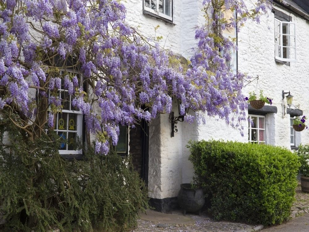 Old Church House Inn Newton Abbot Exteriör bild